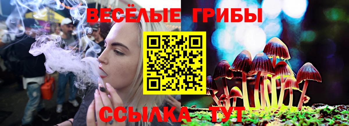 Псилоцибиновые грибы прущие грибы Тосно