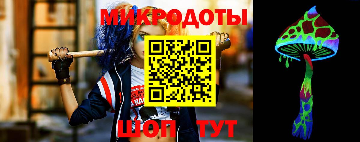 Тосно  Галлюциногенные грибы Psilocybe  Вход с VPN 